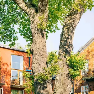 J, Stockholm, A Member Of Design 4* Nacka